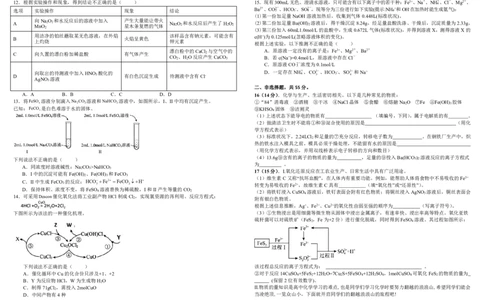 高一化学_2025年12月高一试卷_251215四川省成都市树德中学2025-2026学年高一上学期期中考试（全）