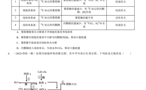 题型5从物质与能量视角探索细胞呼吸（题型集训）（原卷版）_新高考复习资料_2023年新高考复习资料_二轮复习_技巧点拨备战2023年高考生物二轮题型复习讲解286731240