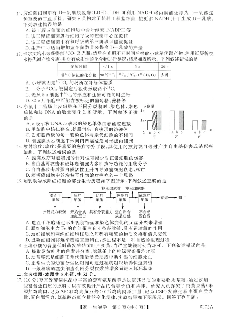 陕西省榆林市2025-2026学年高一上学期期末考试生物试题_2026年01月高一试卷_260128陕西省榆林市2025-2026学年高一上学期期末_陕西省榆林市2025-2026学年高一上学期期末生物试卷（含答案）