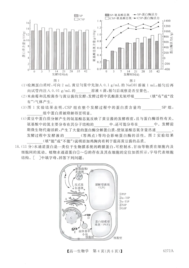 陕西省榆林市2025-2026学年高一上学期期末考试生物试题_2026年01月高一试卷_260128陕西省榆林市2025-2026学年高一上学期期末_陕西省榆林市2025-2026学年高一上学期期末生物试卷（含答案）