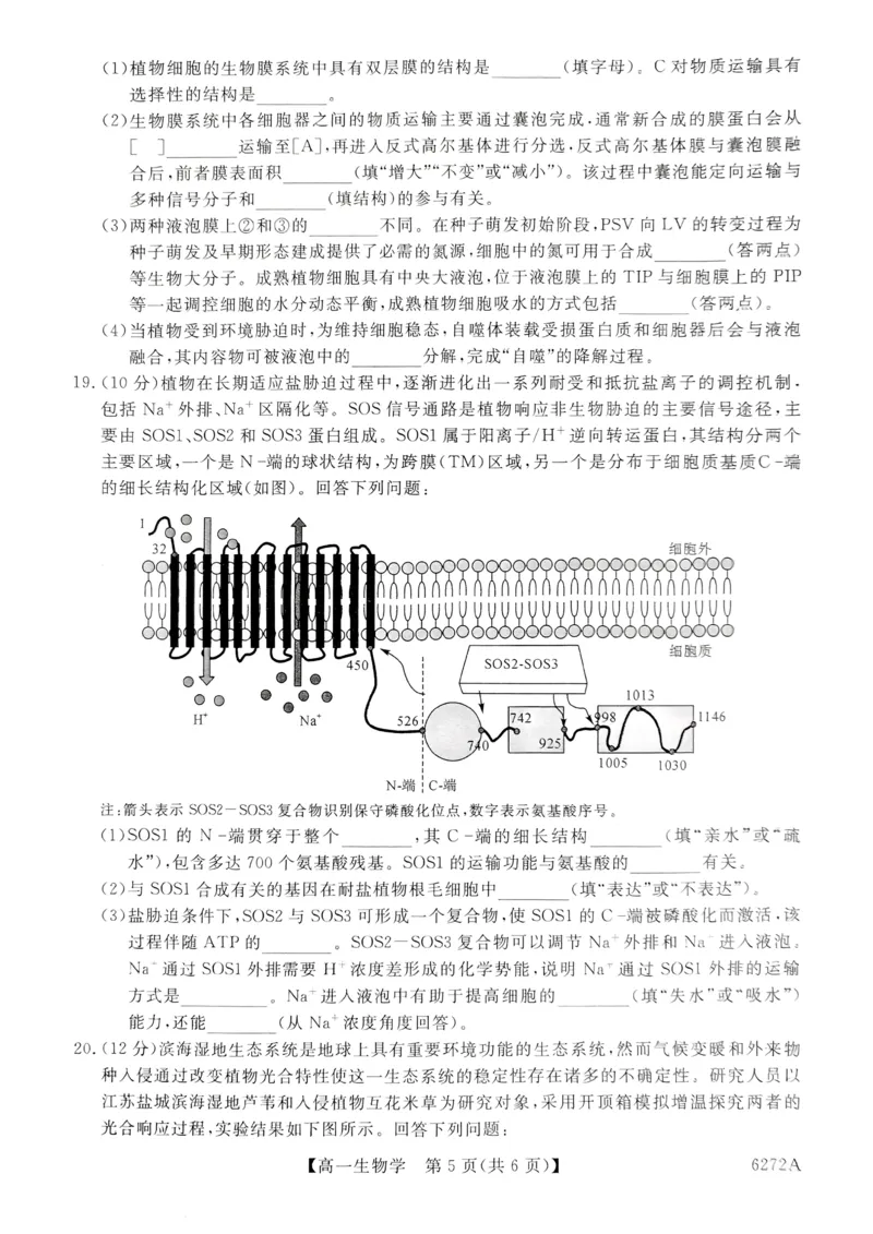 陕西省榆林市2025-2026学年高一上学期期末考试生物试题_2026年01月高一试卷_260128陕西省榆林市2025-2026学年高一上学期期末_陕西省榆林市2025-2026学年高一上学期期末生物试卷（含答案）