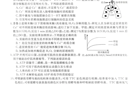 陕西省榆林市2025-2026学年高一上学期期末考试生物试题_2026年01月高一试卷_260128陕西省榆林市2025-2026学年高一上学期期末_陕西省榆林市2025-2026学年高一上学期期末生物试卷（含答案）