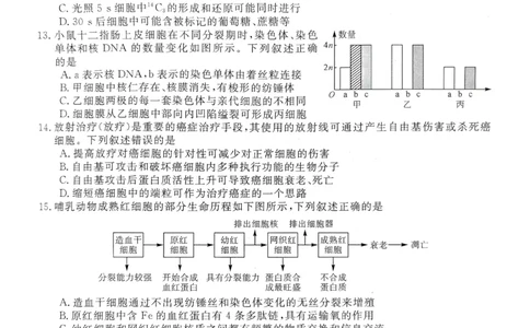 陕西省榆林市2025-2026学年高一上学期期末考试生物试题_2026年01月高一试卷_260128陕西省榆林市2025-2026学年高一上学期期末_陕西省榆林市2025-2026学年高一上学期期末生物试卷（含答案）