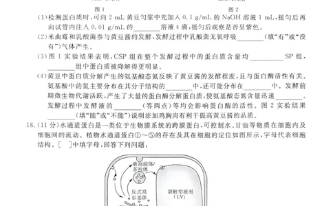 陕西省榆林市2025-2026学年高一上学期期末考试生物试题_2026年01月高一试卷_260128陕西省榆林市2025-2026学年高一上学期期末_陕西省榆林市2025-2026学年高一上学期期末生物试卷（含答案）