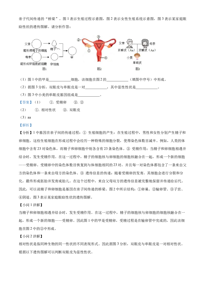 精品解析：2024年青海省中考生物真题（解析版）_new_6生物中考复习_2025中考复习资料_中考真题（近三年）_2024年生物中考真题