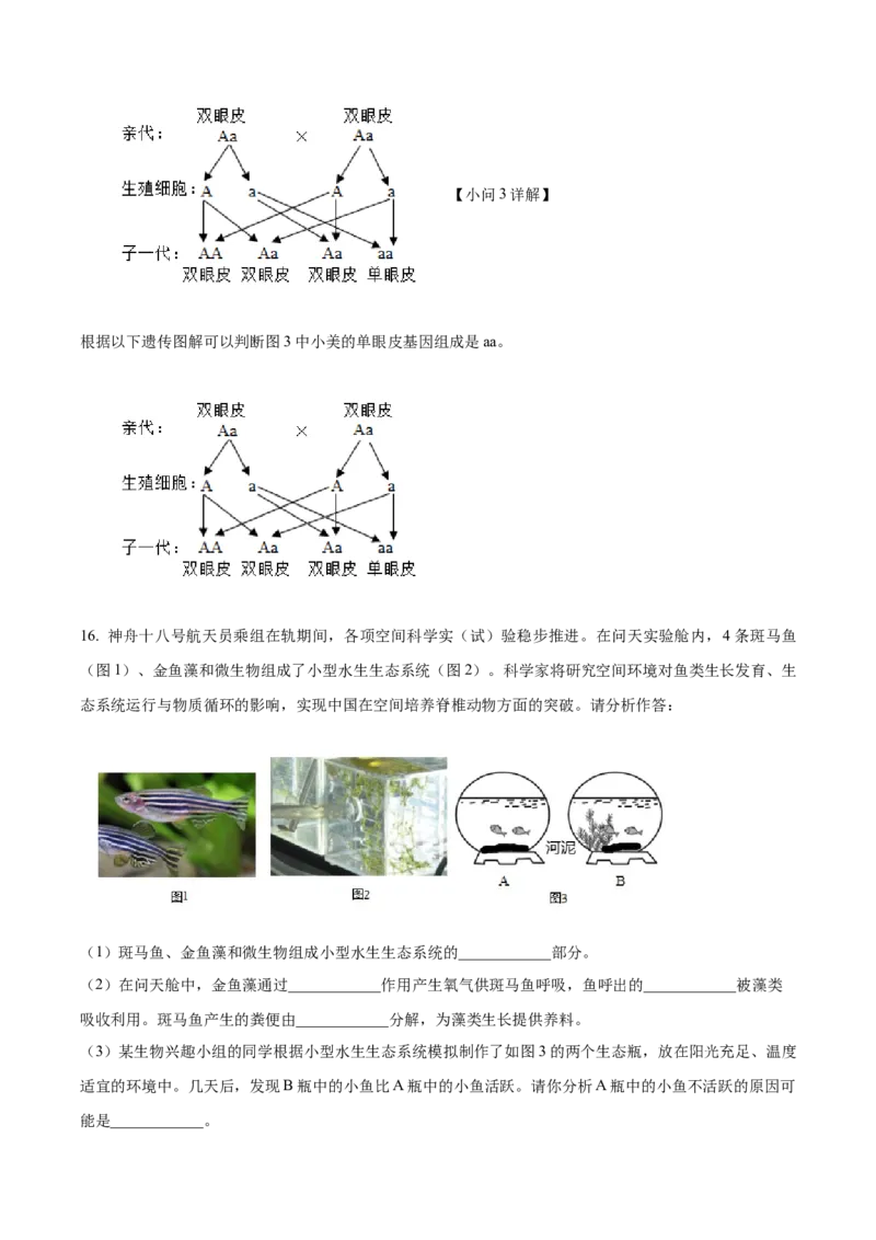 精品解析：2024年青海省中考生物真题（解析版）_new_6生物中考复习_2025中考复习资料_中考真题（近三年）_2024年生物中考真题