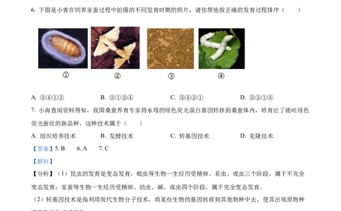 精品解析：2024年青海省中考生物真题（解析版）_new_6生物中考复习_2025中考复习资料_中考真题（近三年）_2024年生物中考真题