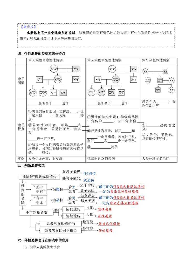 题型13伴性遗传的经典题型（核心知识）（原卷版）_新高考复习资料_2023年新高考复习资料_二轮复习_技巧点拨备战2023年高考生物二轮题型复习讲解286731240
