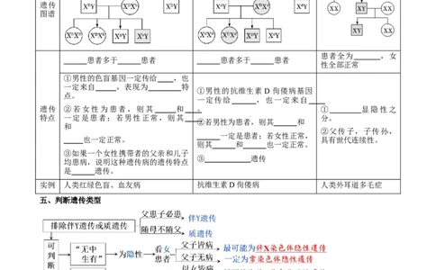 题型13伴性遗传的经典题型（核心知识）（原卷版）_新高考复习资料_2023年新高考复习资料_二轮复习_技巧点拨备战2023年高考生物二轮题型复习讲解286731240