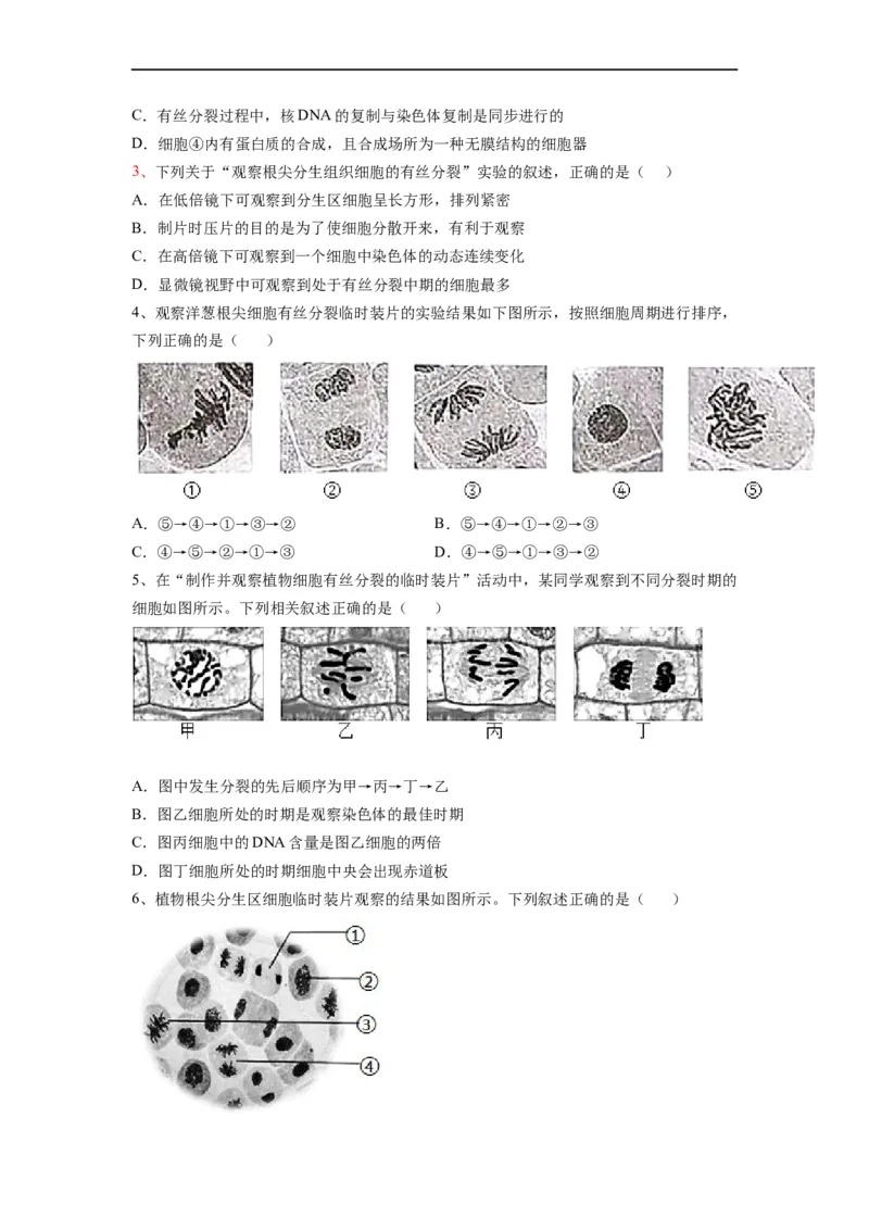 重难点07细胞的生命历程（原卷版）_通用版（老高考）复习资料_2023年复习资料_专项复习_2023年高考生物热点&middot;重点&middot;难点专练（全国通用）