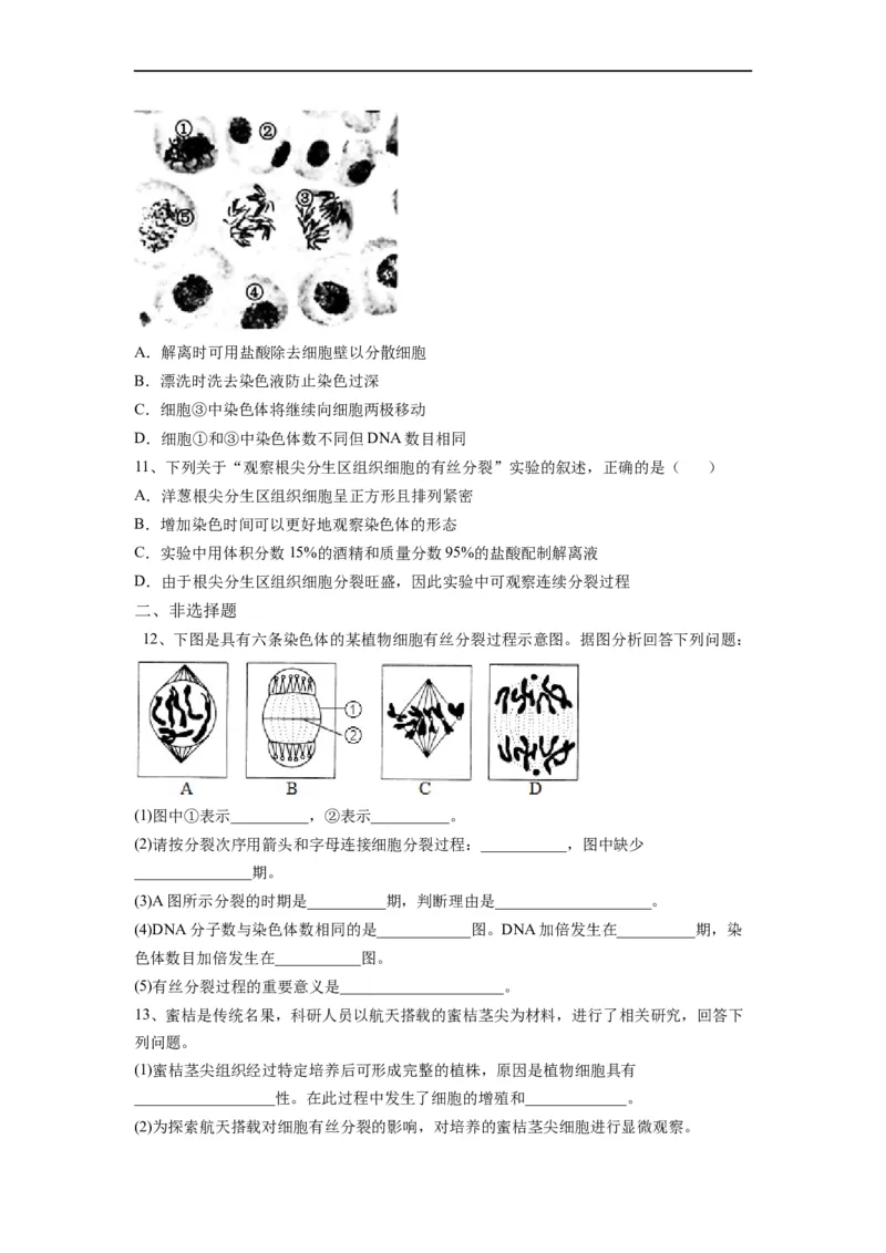 重难点07细胞的生命历程（原卷版）_通用版（老高考）复习资料_2023年复习资料_专项复习_2023年高考生物热点&middot;重点&middot;难点专练（全国通用）