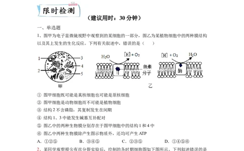 重难点07细胞的生命历程（原卷版）_通用版（老高考）复习资料_2023年复习资料_专项复习_2023年高考生物热点&middot;重点&middot;难点专练（全国通用）
