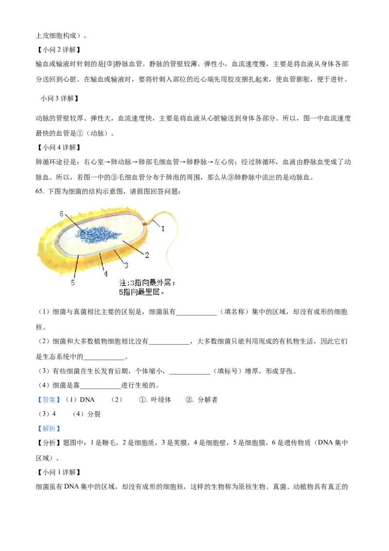 精品解析：2022年黑龙江省龙东地区中考生物真题（解析版）_6生物中考复习_2025中考复习资料_中考真题（近三年）_2022年生物中考真题114份_精品解析：2022年黑龙江省龙东地区中考生物真题