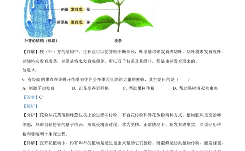 精品解析：2022年黑龙江省龙东地区中考生物真题（解析版）_6生物中考复习_2025中考复习资料_中考真题（近三年）_2022年生物中考真题114份_精品解析：2022年黑龙江省龙东地区中考生物真题