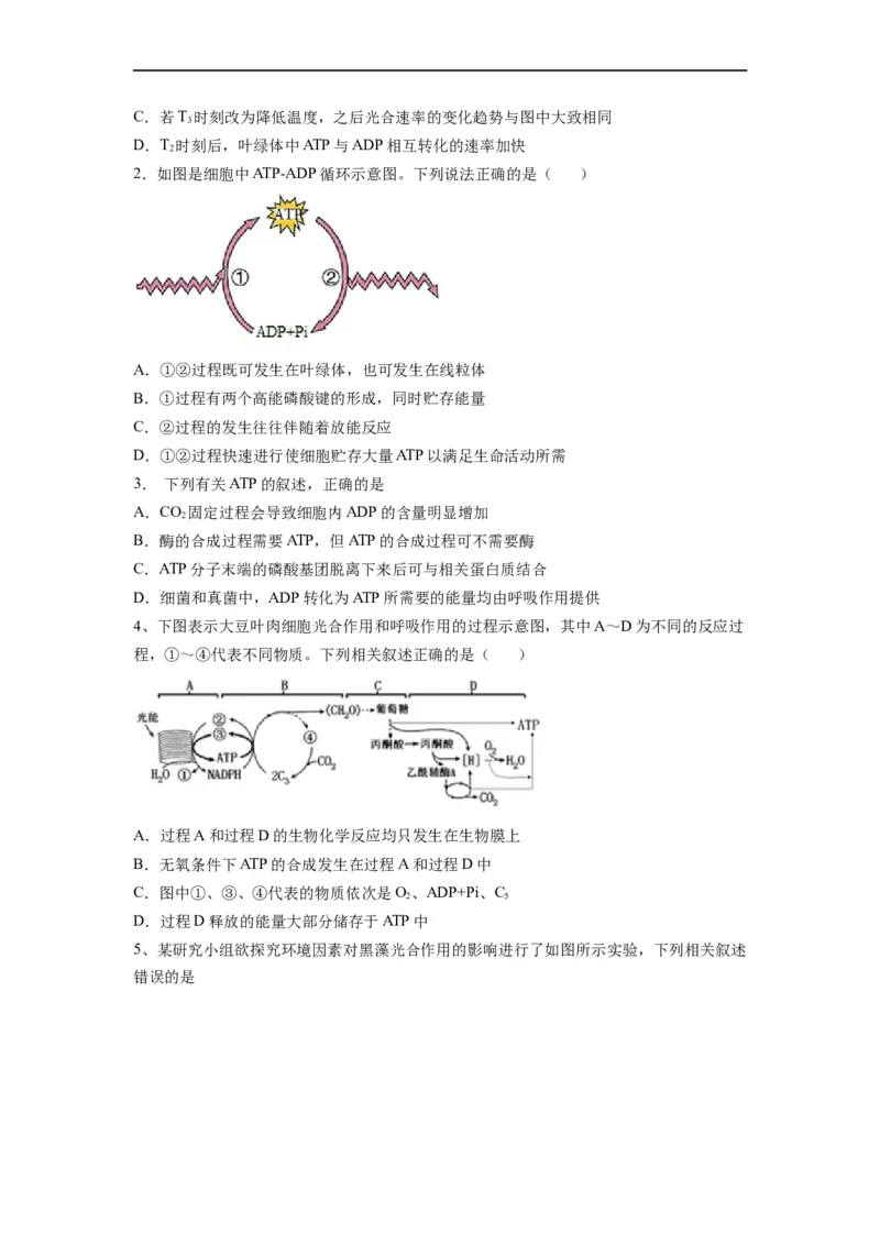 重难点06光合作用-2023年高考生物热点&middot;重点&middot;难点专练（全国通用）（原卷版）_通用版（老高考）复习资料_2023年复习资料_专项复习