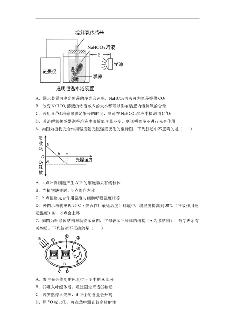 重难点06光合作用-2023年高考生物热点&middot;重点&middot;难点专练（全国通用）（原卷版）_通用版（老高考）复习资料_2023年复习资料_专项复习