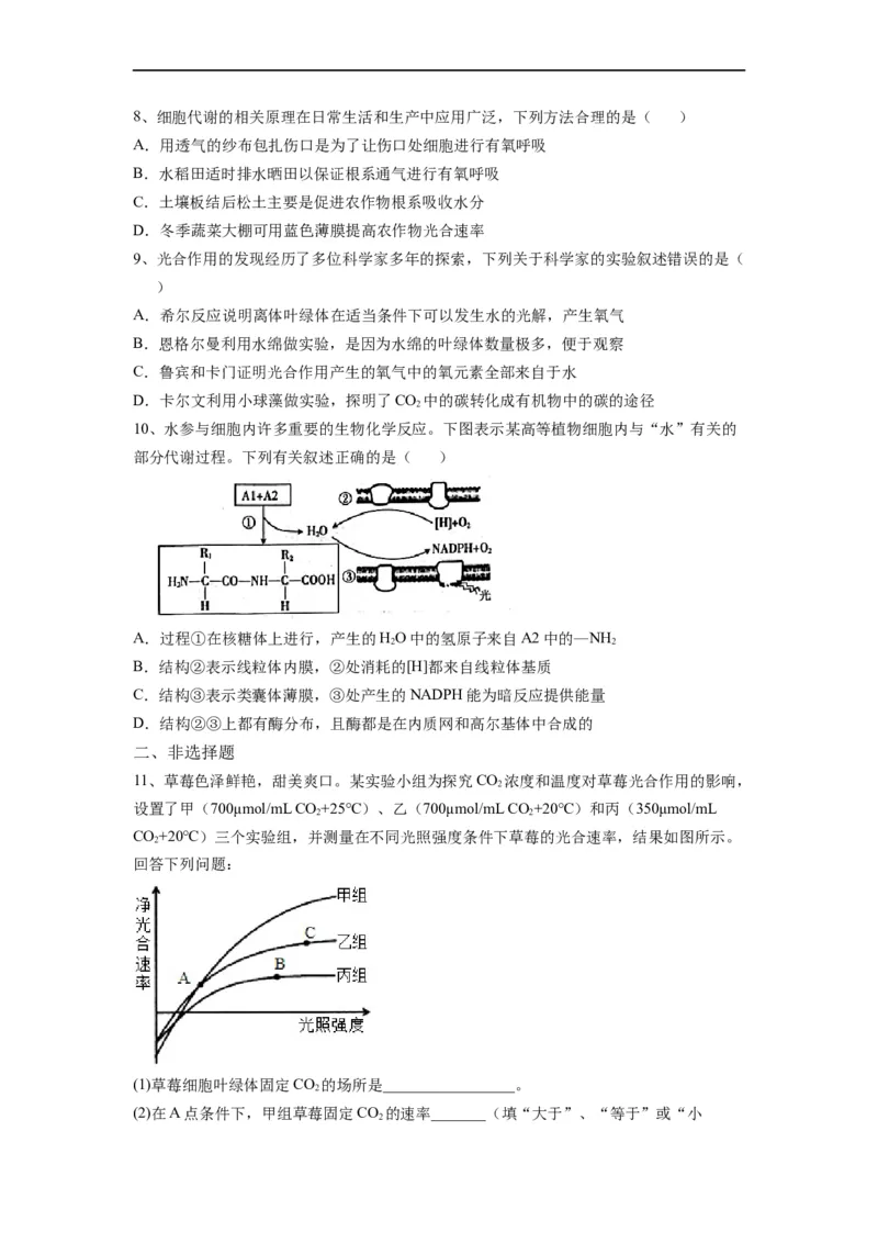 重难点06光合作用-2023年高考生物热点&middot;重点&middot;难点专练（全国通用）（原卷版）_通用版（老高考）复习资料_2023年复习资料_专项复习