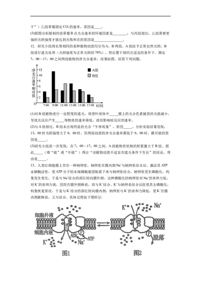 重难点06光合作用-2023年高考生物热点&middot;重点&middot;难点专练（全国通用）（原卷版）_通用版（老高考）复习资料_2023年复习资料_专项复习