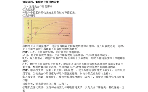 重难点06光合作用-2023年高考生物热点&middot;重点&middot;难点专练（全国通用）（原卷版）_通用版（老高考）复习资料_2023年复习资料_专项复习