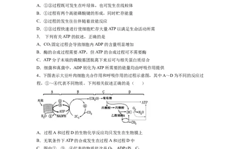 重难点06光合作用-2023年高考生物热点&middot;重点&middot;难点专练（全国通用）（原卷版）_通用版（老高考）复习资料_2023年复习资料_专项复习