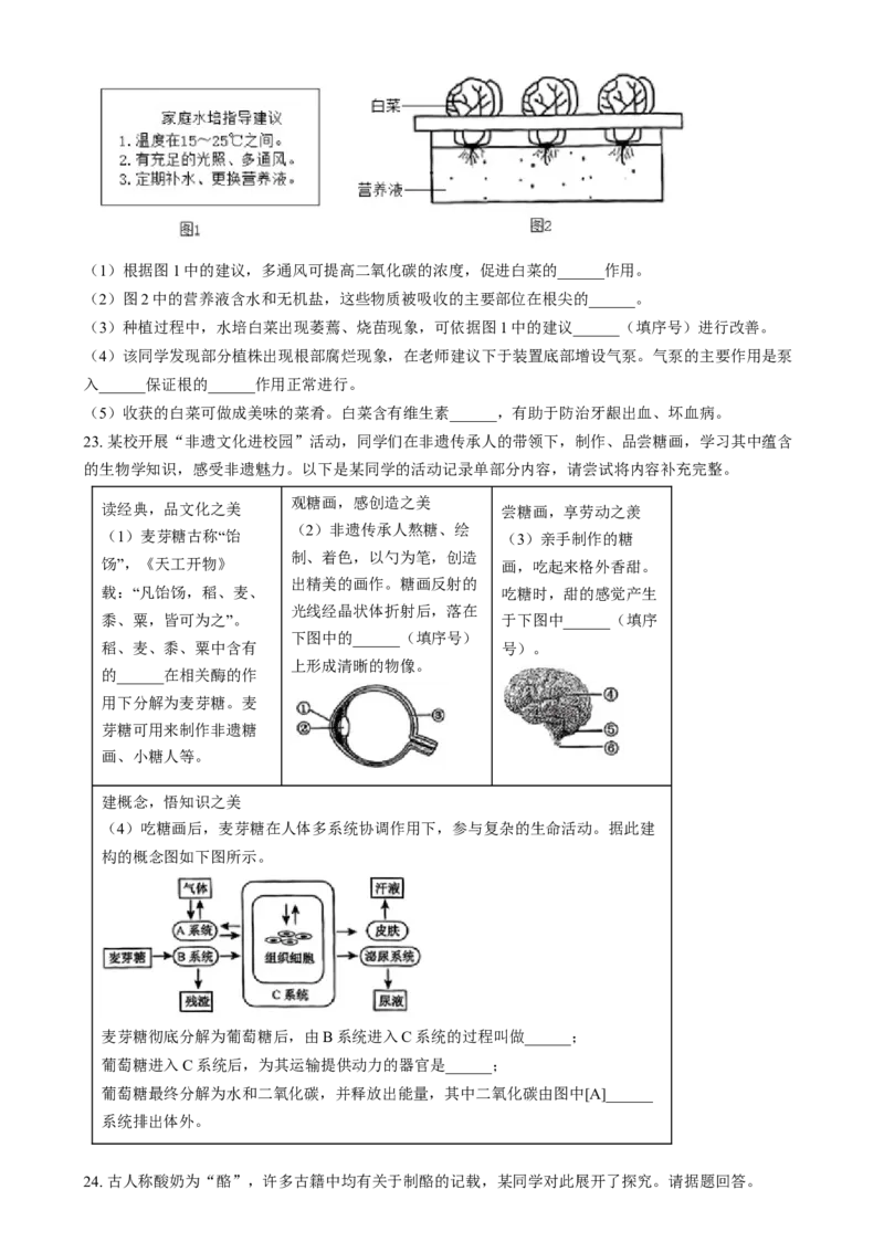 精品解析：2024年江西省中考生物真题（原卷版）_new_6生物中考复习_2025中考复习资料_中考真题（近三年）_2024年生物中考真题