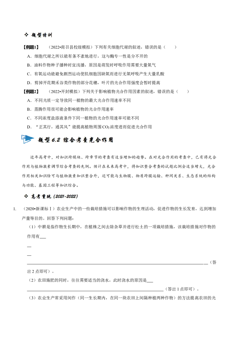 题型6从物质与能量视角探索光合作用（题型归纳）（原卷版）_新高考复习资料_2023年新高考复习资料_二轮复习_技巧点拨备战2023年高考生物二轮题型复习讲解286731240