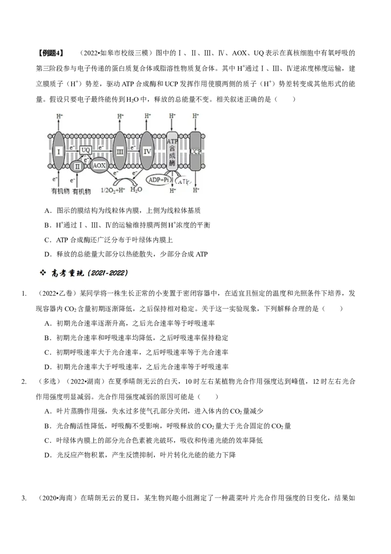 题型6从物质与能量视角探索光合作用（题型归纳）（原卷版）_新高考复习资料_2023年新高考复习资料_二轮复习_技巧点拨备战2023年高考生物二轮题型复习讲解286731240