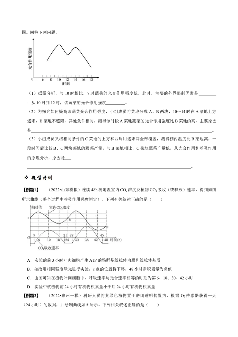 题型6从物质与能量视角探索光合作用（题型归纳）（原卷版）_新高考复习资料_2023年新高考复习资料_二轮复习_技巧点拨备战2023年高考生物二轮题型复习讲解286731240