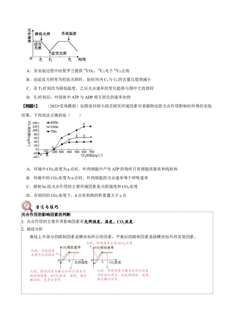 题型6从物质与能量视角探索光合作用（题型归纳）（原卷版）_新高考复习资料_2023年新高考复习资料_二轮复习_技巧点拨备战2023年高考生物二轮题型复习讲解286731240