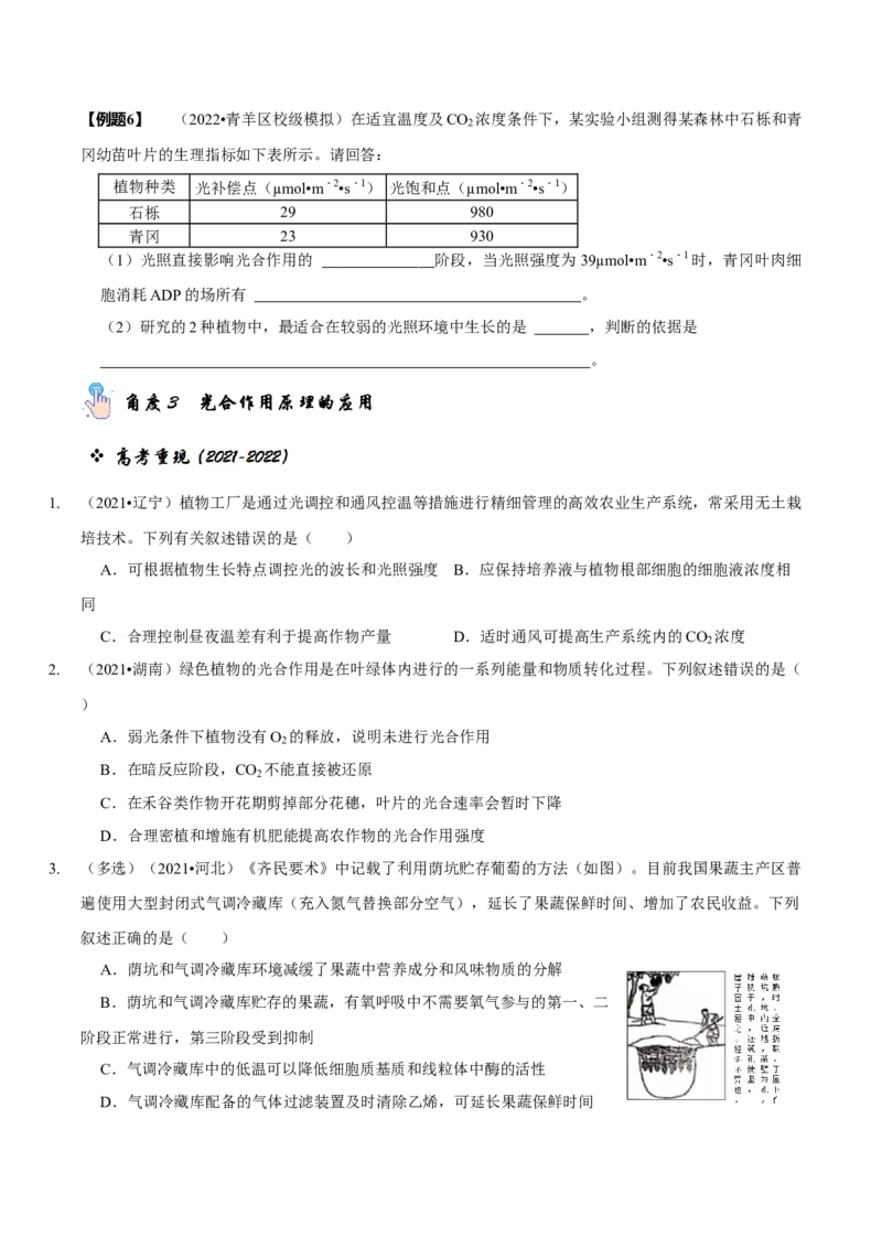题型6从物质与能量视角探索光合作用（题型归纳）（原卷版）_新高考复习资料_2023年新高考复习资料_二轮复习_技巧点拨备战2023年高考生物二轮题型复习讲解286731240