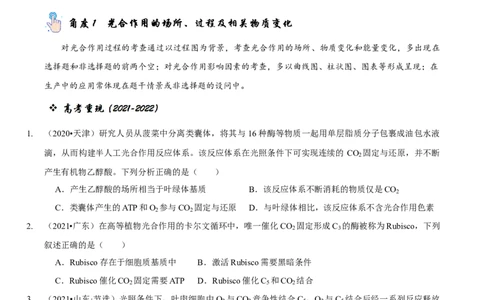 题型6从物质与能量视角探索光合作用（题型归纳）（原卷版）_新高考复习资料_2023年新高考复习资料_二轮复习_技巧点拨备战2023年高考生物二轮题型复习讲解286731240