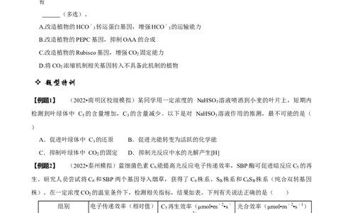 题型6从物质与能量视角探索光合作用（题型归纳）（原卷版）_新高考复习资料_2023年新高考复习资料_二轮复习_技巧点拨备战2023年高考生物二轮题型复习讲解286731240