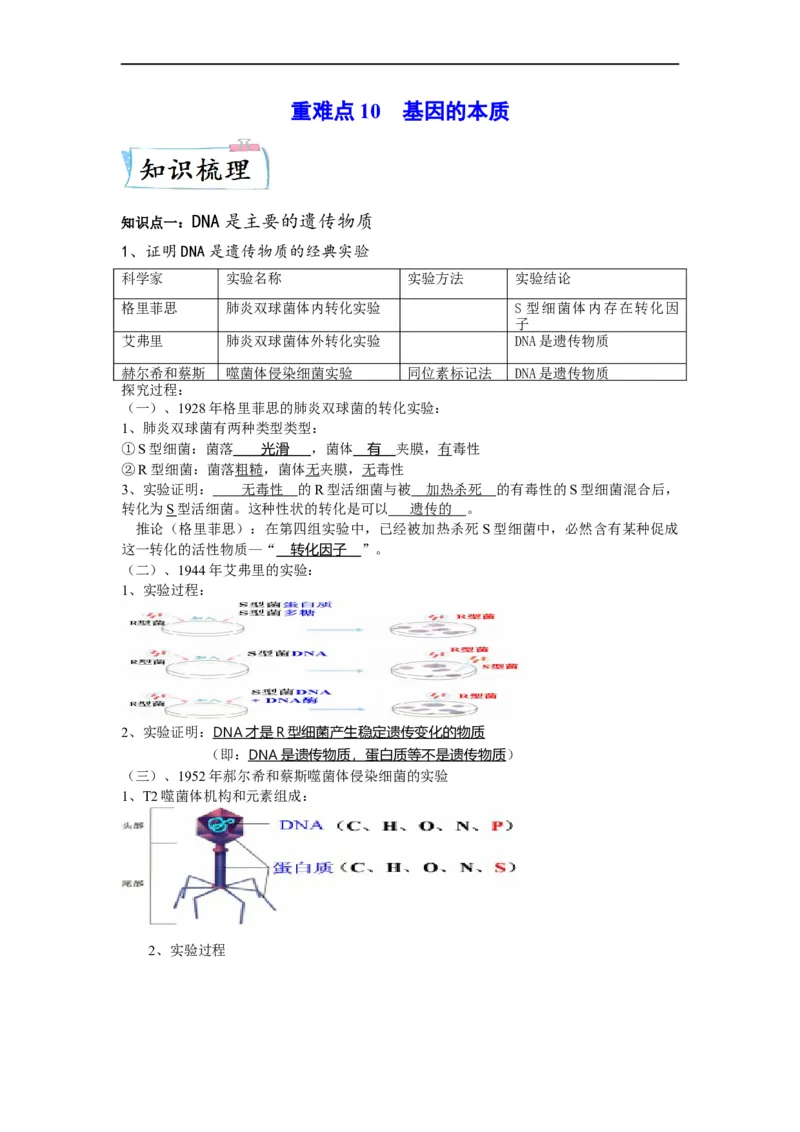重难点10基因的本质（解析版）_通用版（老高考）复习资料_2023年复习资料_专项复习_2023年高考生物热点&middot;重点&middot;难点专练（全国通用）