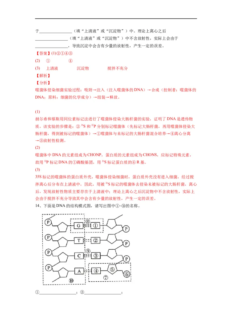 重难点10基因的本质（解析版）_通用版（老高考）复习资料_2023年复习资料_专项复习_2023年高考生物热点&middot;重点&middot;难点专练（全国通用）