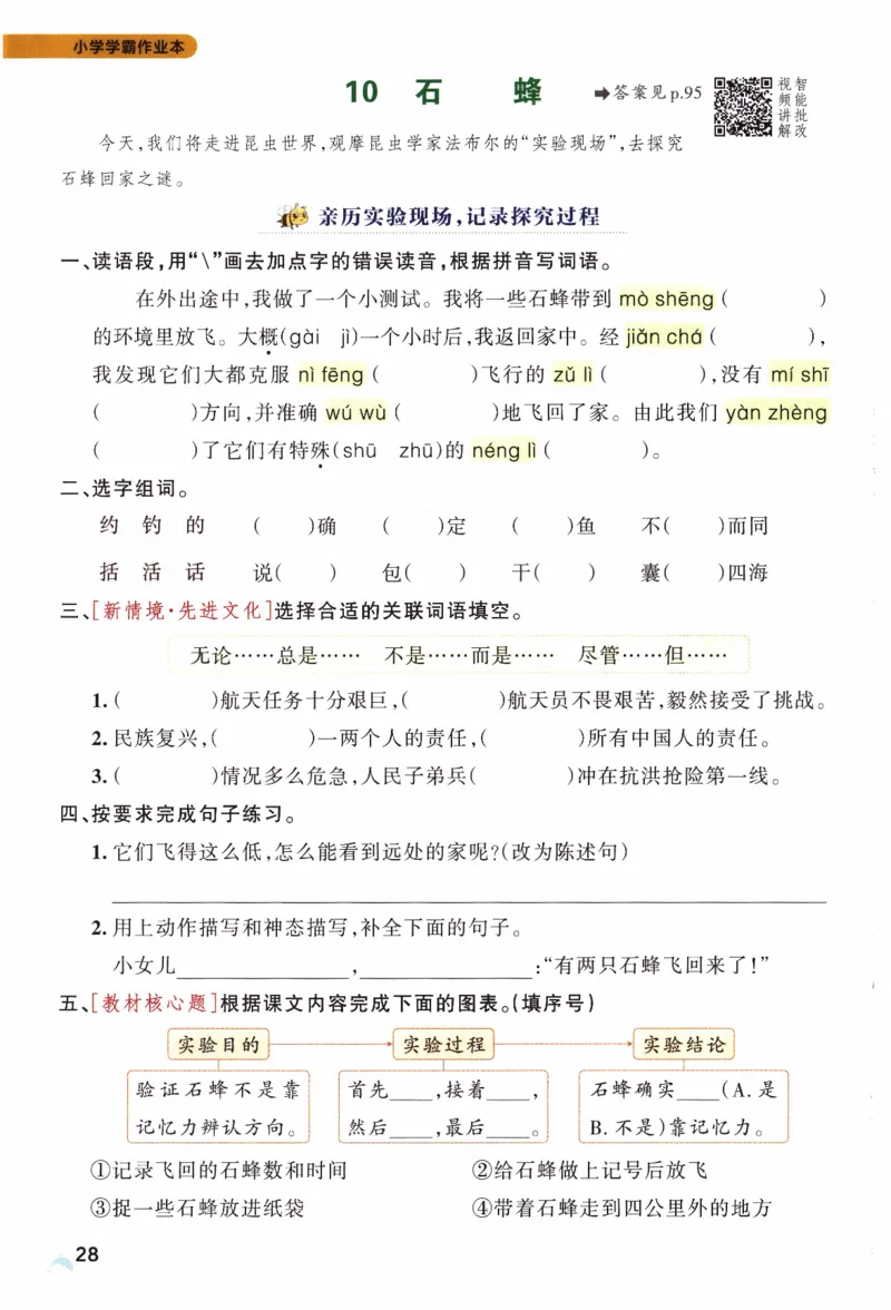 26春《小学学霸作业本》语文3下_2026春人教语文《学霸作业本》_26春《小学学霸作业本》语文3下