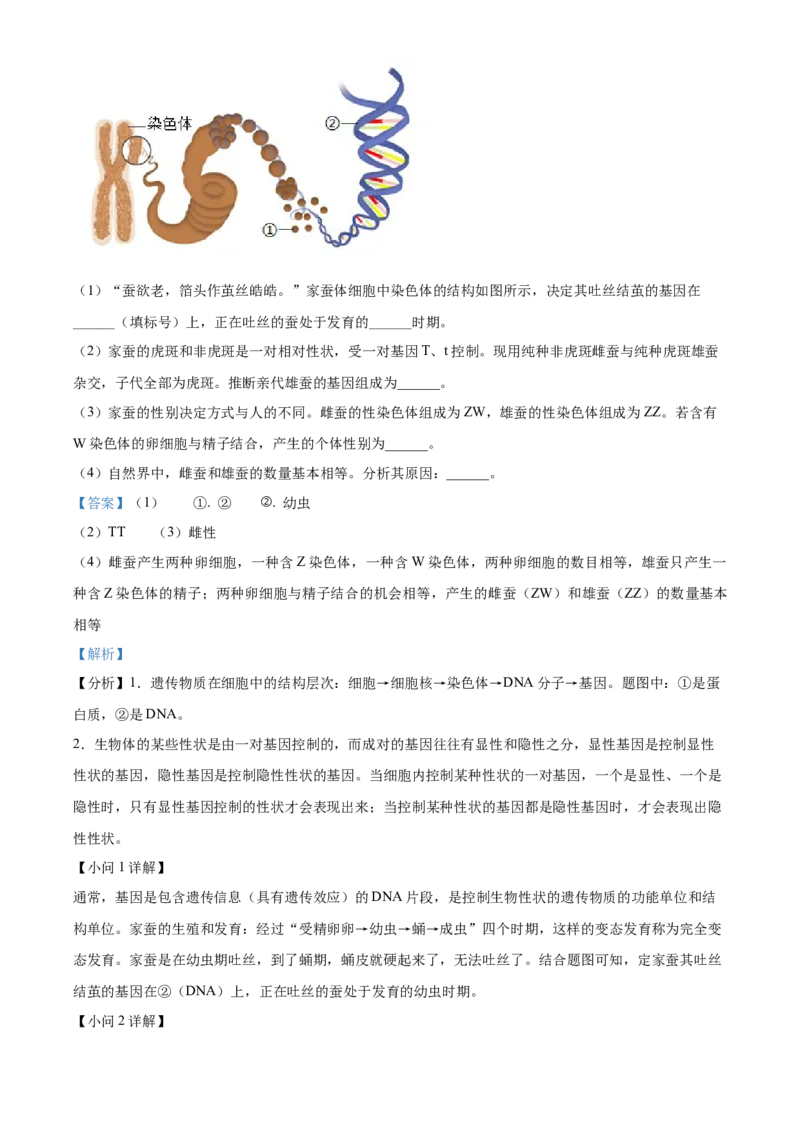 精品解析：2024年河南省中考生物真题（解析版）_new_6生物中考复习_2025中考复习资料_中考真题（近三年）_2024年生物中考真题