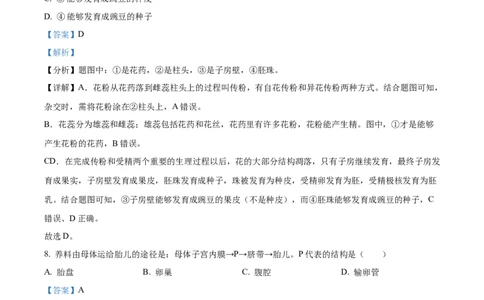 精品解析：2024年河南省中考生物真题（解析版）_new_6生物中考复习_2025中考复习资料_中考真题（近三年）_2024年生物中考真题