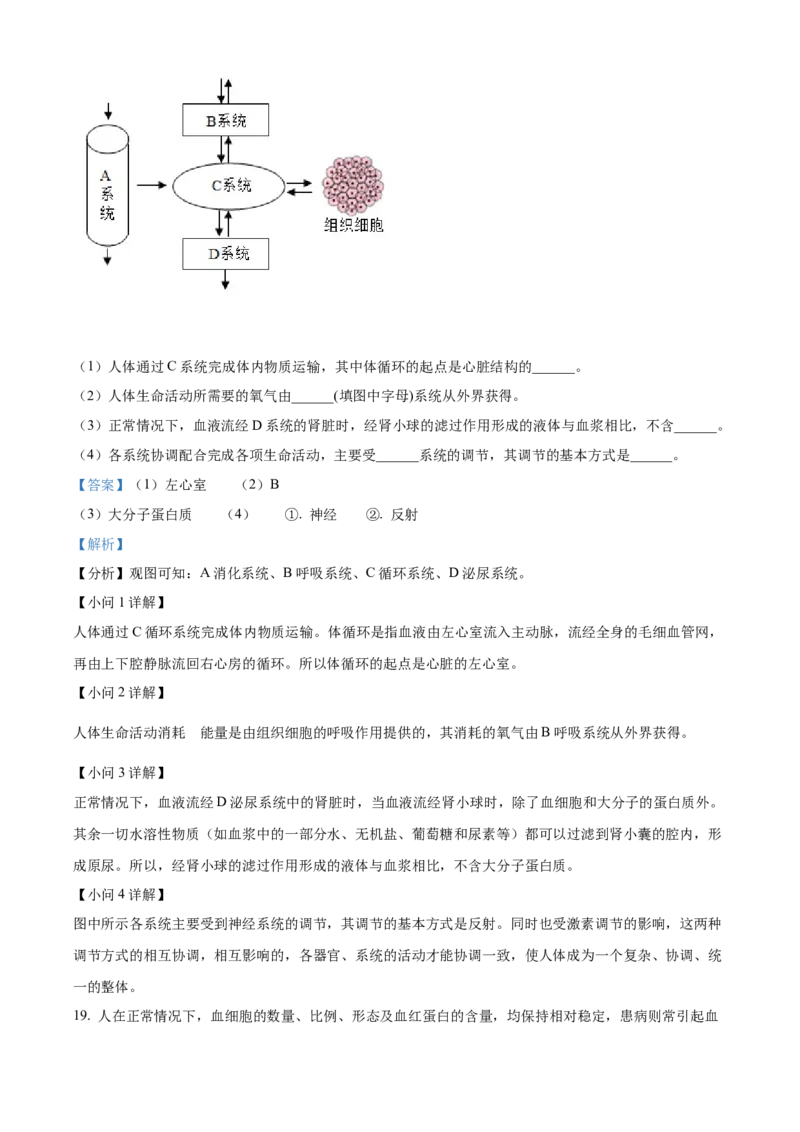 精品解析：2022年百色市中考生物真题（解析版）_6生物中考复习_2025中考复习资料_中考真题（近三年）_2022年生物中考真题114份_精品解析：2022年百色市中考生物真题