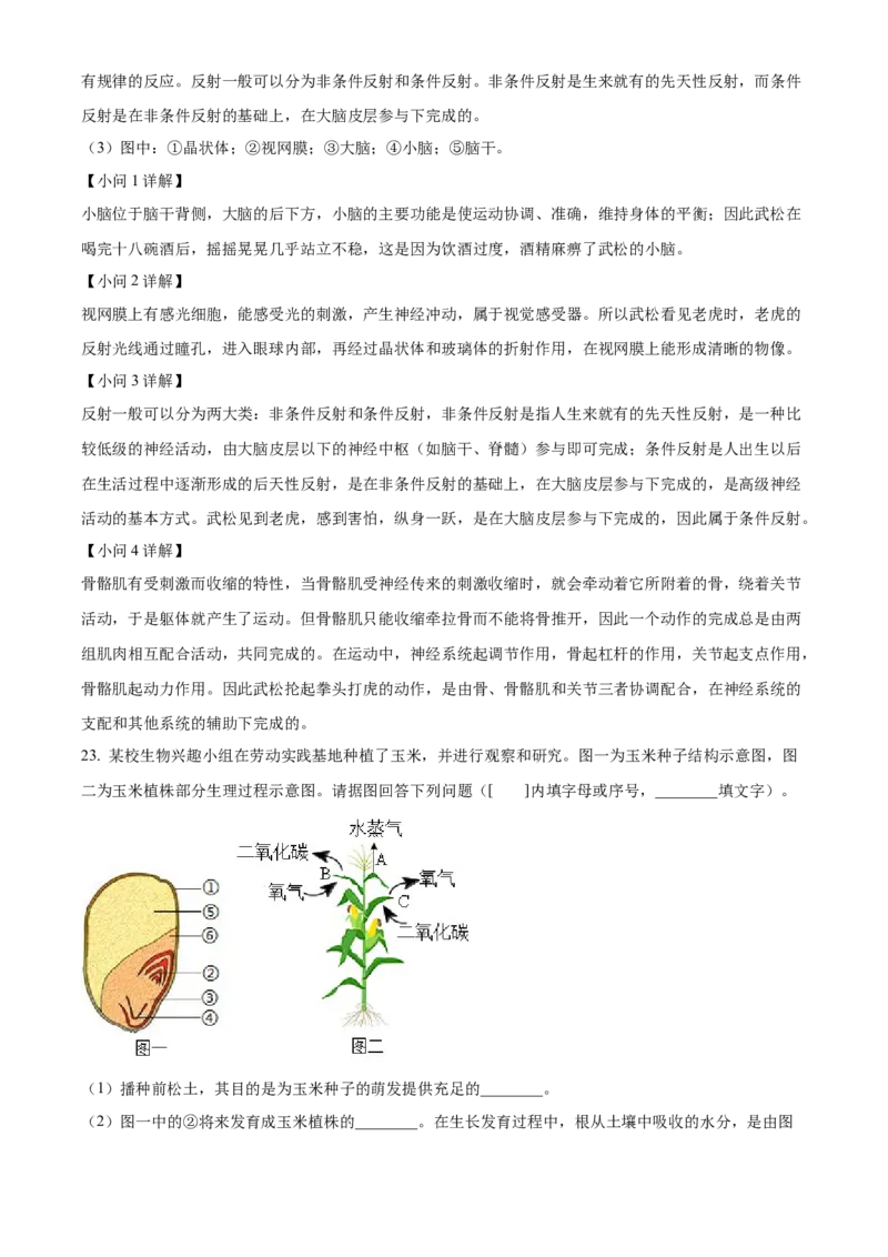 精品解析：2024年四川省广安市中考生物真题（解析版）_new_6生物中考复习_2025中考复习资料_中考真题（近三年）_2024年生物中考真题