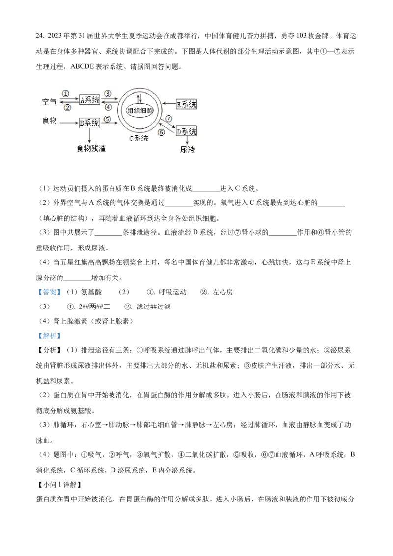 精品解析：2024年四川省广安市中考生物真题（解析版）_new_6生物中考复习_2025中考复习资料_中考真题（近三年）_2024年生物中考真题