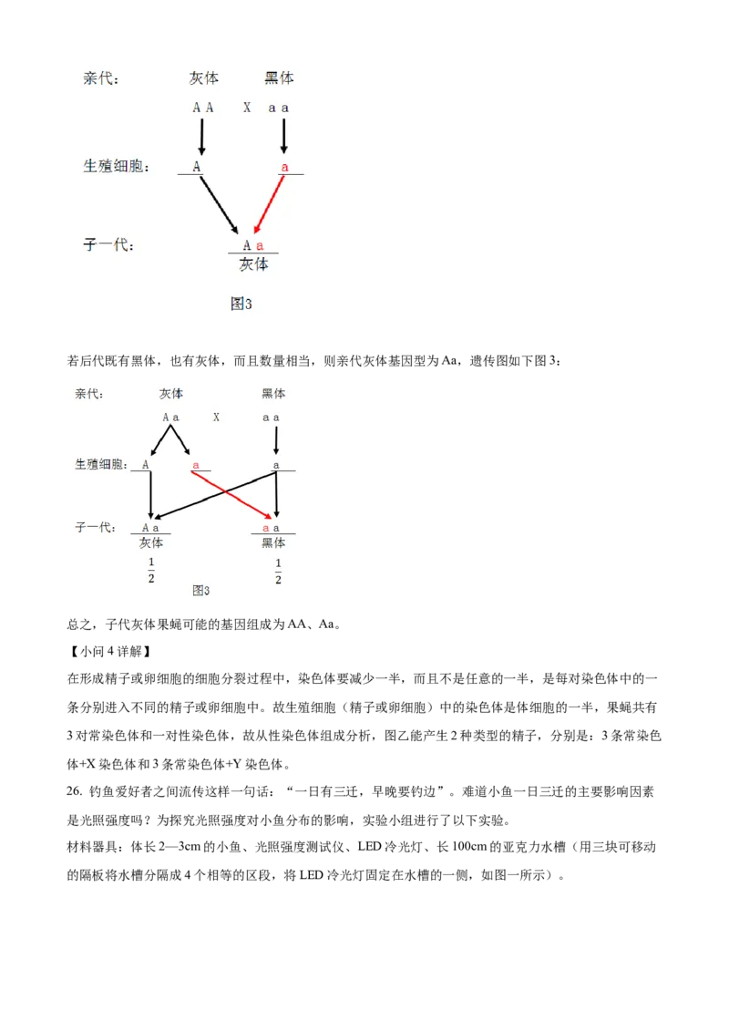 精品解析：2024年四川省广安市中考生物真题（解析版）_new_6生物中考复习_2025中考复习资料_中考真题（近三年）_2024年生物中考真题