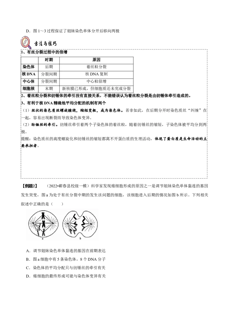 题型8细胞生命历程的易错辨析（题型归纳）（原卷版）_新高考复习资料_2023年新高考复习资料_二轮复习_技巧点拨备战2023年高考生物二轮题型复习讲解286731240