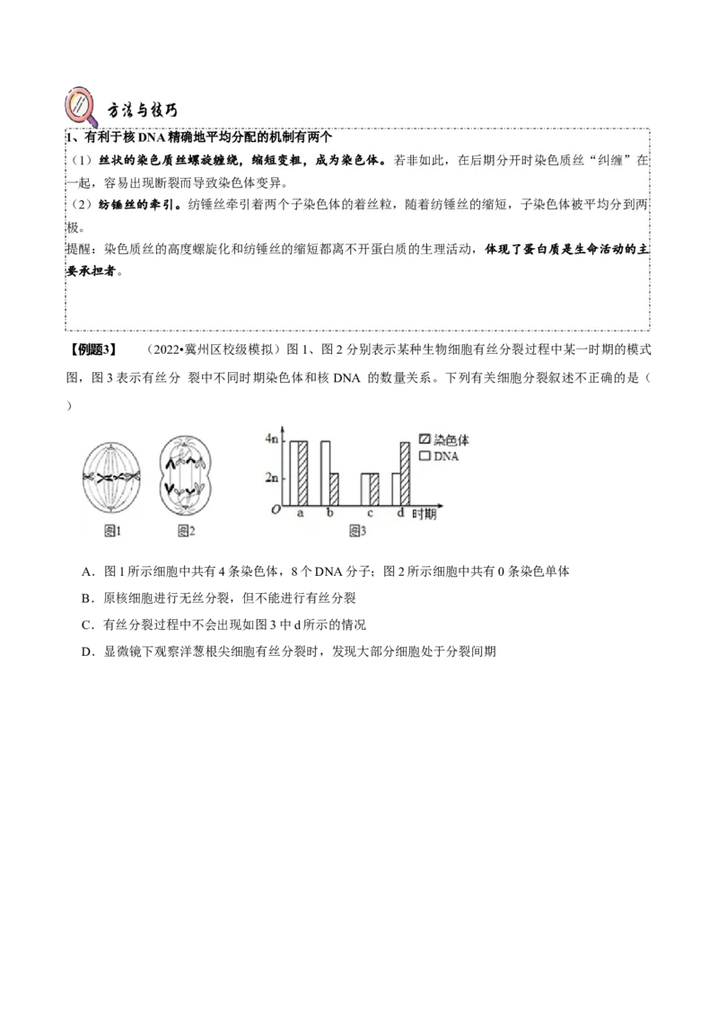 题型8细胞生命历程的易错辨析（题型归纳）（原卷版）_新高考复习资料_2023年新高考复习资料_二轮复习_技巧点拨备战2023年高考生物二轮题型复习讲解286731240