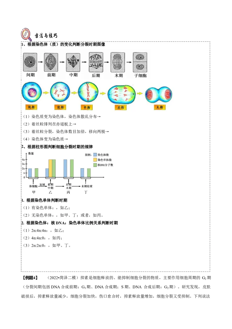 题型8细胞生命历程的易错辨析（题型归纳）（原卷版）_新高考复习资料_2023年新高考复习资料_二轮复习_技巧点拨备战2023年高考生物二轮题型复习讲解286731240
