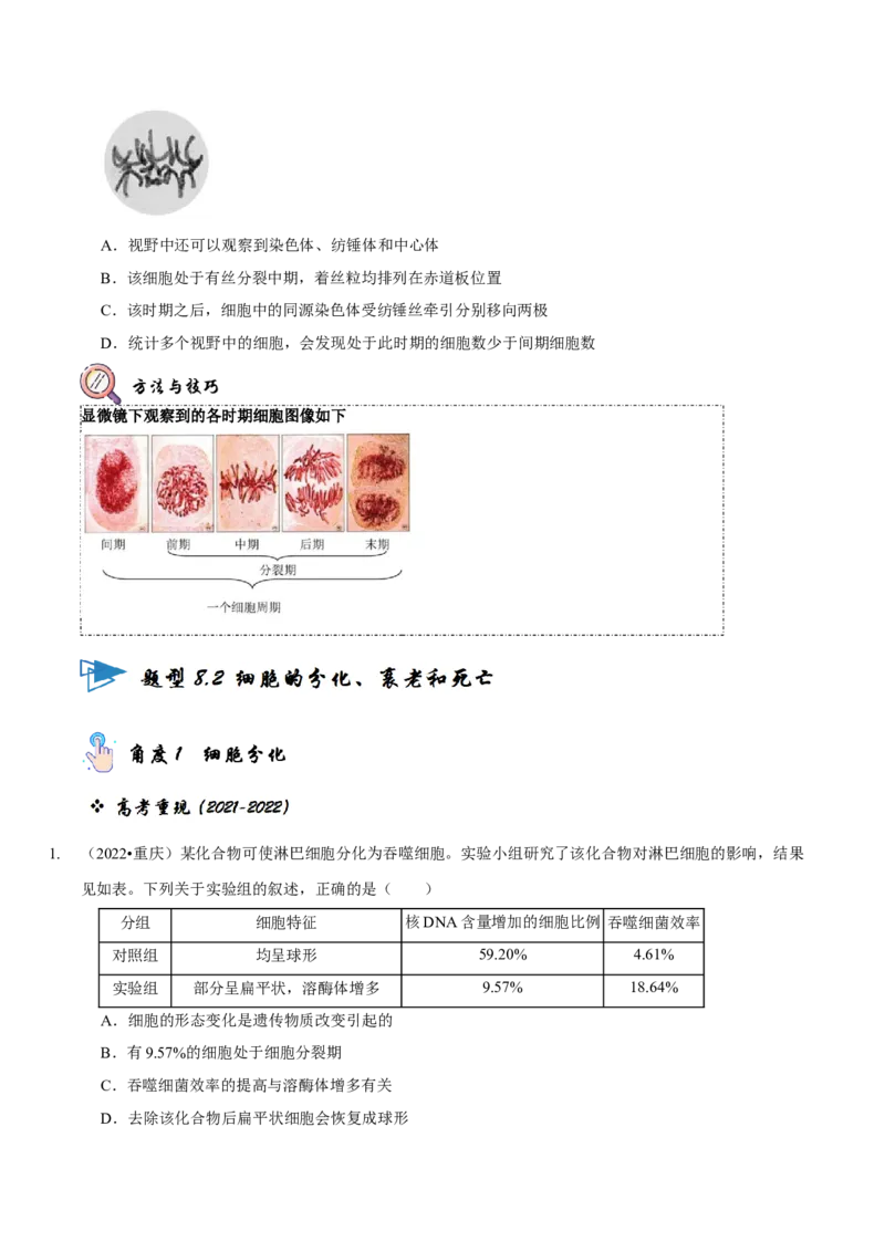 题型8细胞生命历程的易错辨析（题型归纳）（原卷版）_新高考复习资料_2023年新高考复习资料_二轮复习_技巧点拨备战2023年高考生物二轮题型复习讲解286731240