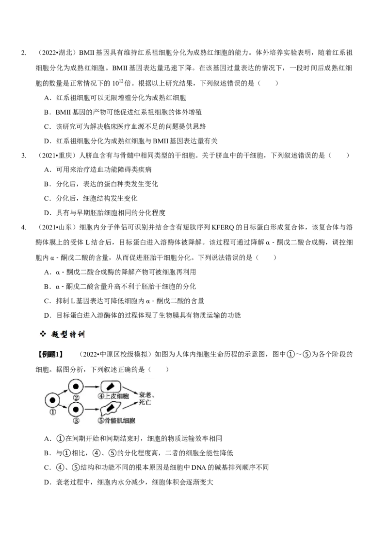 题型8细胞生命历程的易错辨析（题型归纳）（原卷版）_新高考复习资料_2023年新高考复习资料_二轮复习_技巧点拨备战2023年高考生物二轮题型复习讲解286731240