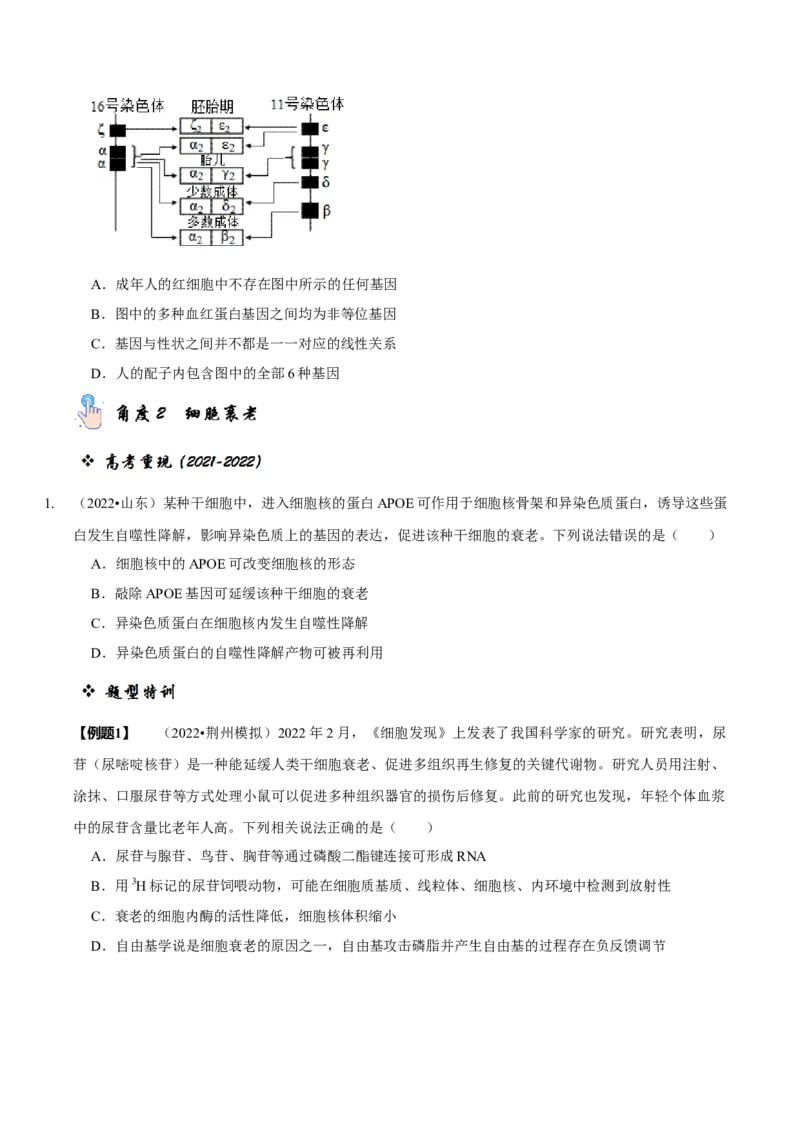 题型8细胞生命历程的易错辨析（题型归纳）（原卷版）_新高考复习资料_2023年新高考复习资料_二轮复习_技巧点拨备战2023年高考生物二轮题型复习讲解286731240