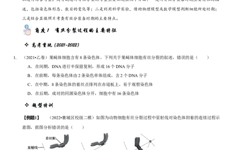 题型8细胞生命历程的易错辨析（题型归纳）（原卷版）_新高考复习资料_2023年新高考复习资料_二轮复习_技巧点拨备战2023年高考生物二轮题型复习讲解286731240