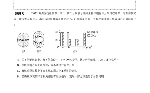 题型8细胞生命历程的易错辨析（题型归纳）（原卷版）_新高考复习资料_2023年新高考复习资料_二轮复习_技巧点拨备战2023年高考生物二轮题型复习讲解286731240