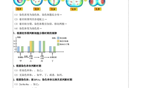 题型8细胞生命历程的易错辨析（题型归纳）（原卷版）_新高考复习资料_2023年新高考复习资料_二轮复习_技巧点拨备战2023年高考生物二轮题型复习讲解286731240
